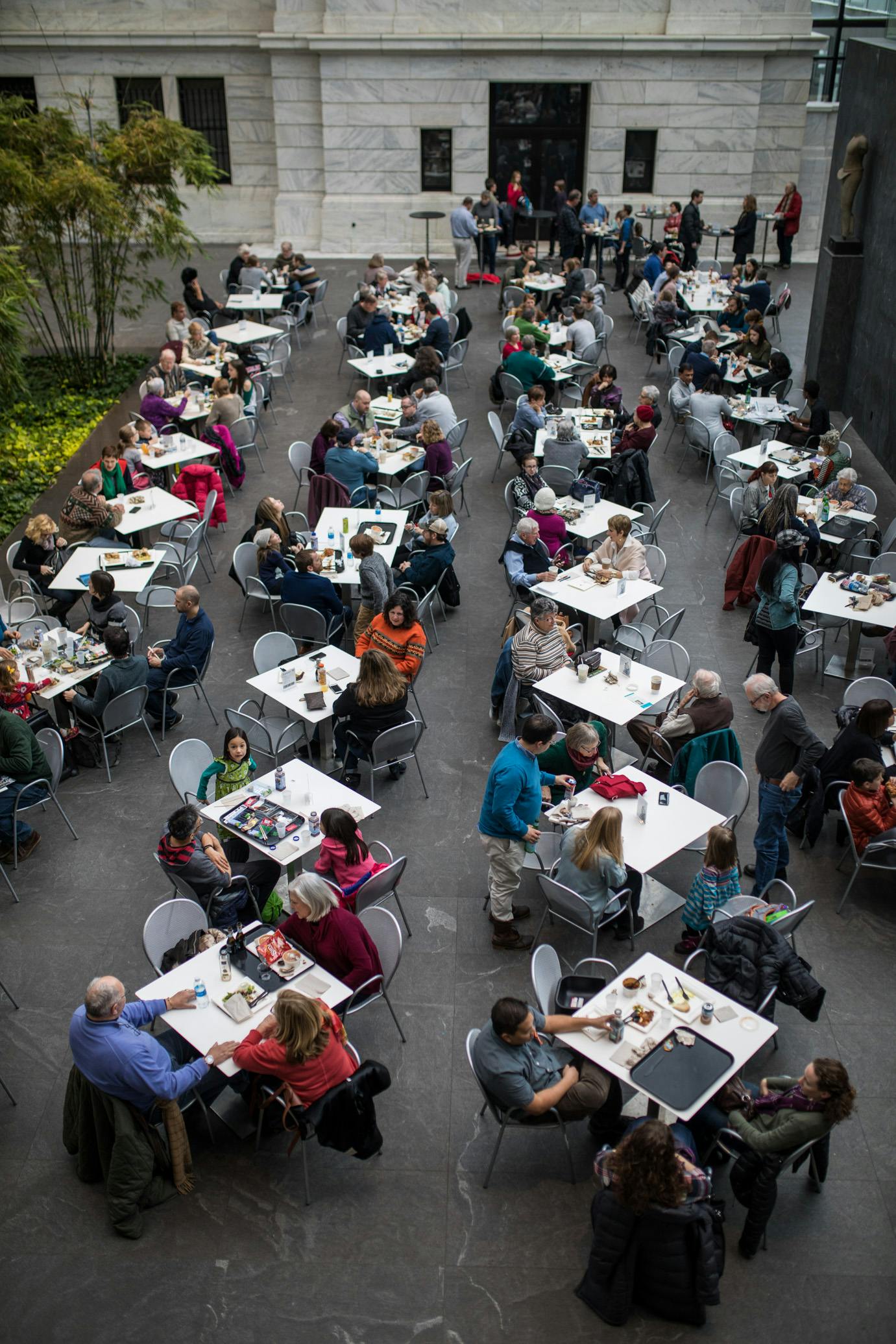 people dining at the museum cafe